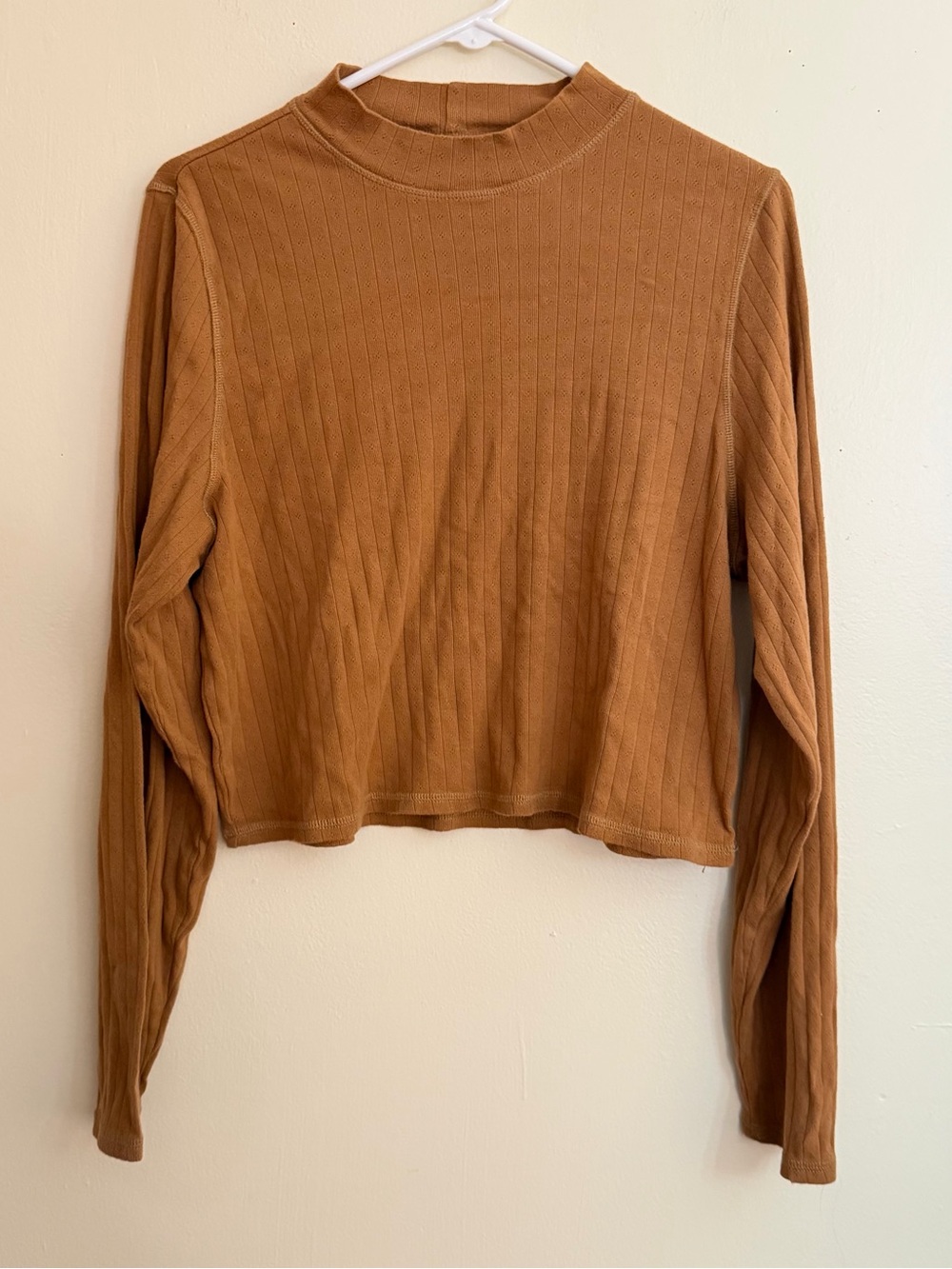 American Eagle Outfitters Mock Neck Long Sleeve Top